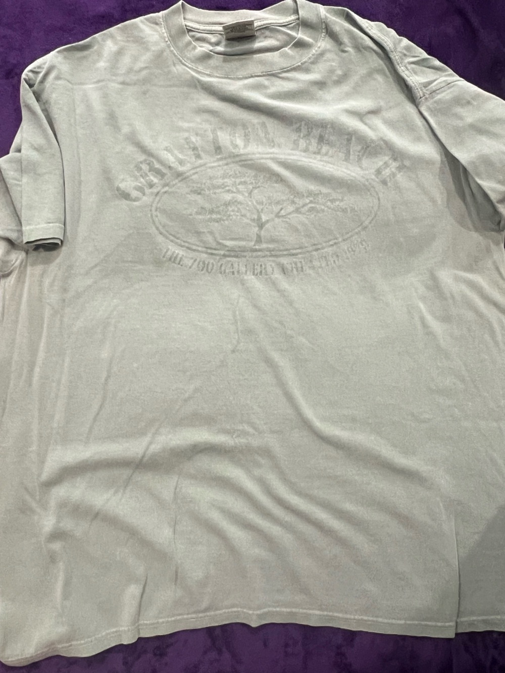 Vintage Anvil Authentic Pigment T-Shirts